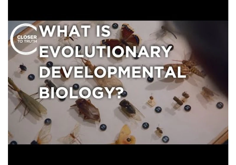 What is Evolutionary Developmental Biology? | Episode 2303 | Closer To Truth