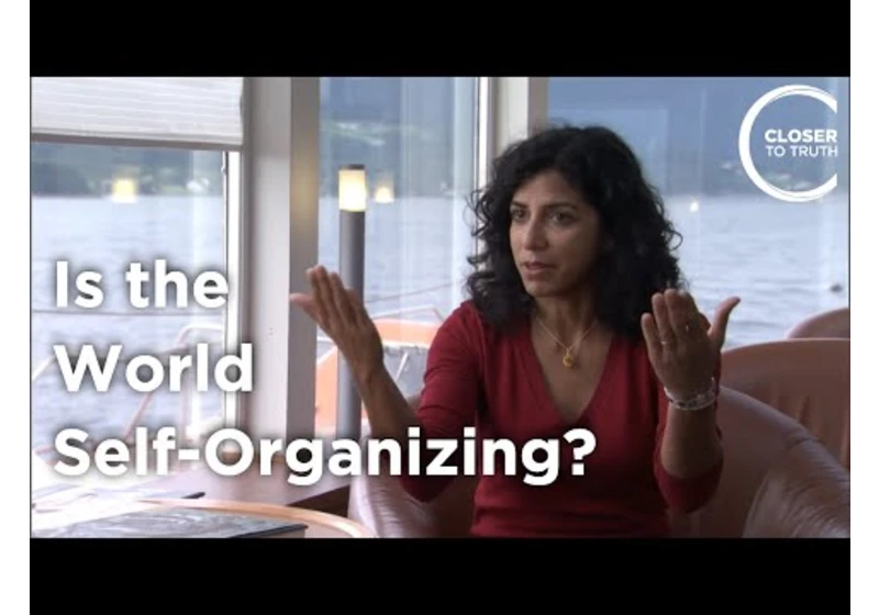 Raissa D'Sousa - Is the World Self-Organizing?