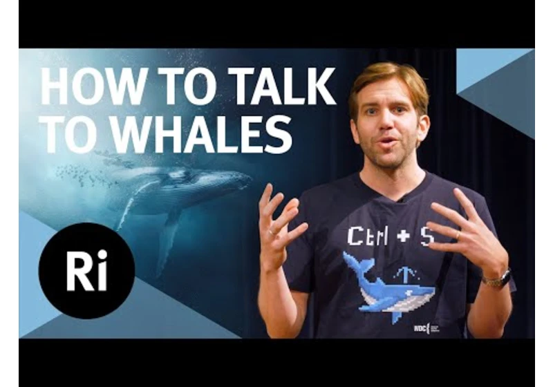 How to speak whale – with Tom Mustill and Michael Bronstein