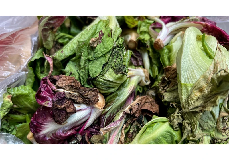 How to Keep Your Salad Greens From Liquifying in the Fridge