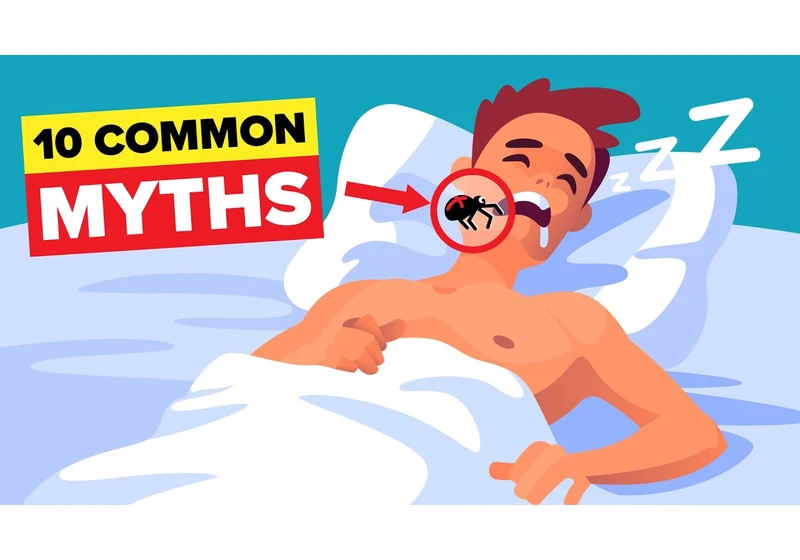 Common Myths That Are Still Believed to be Facts