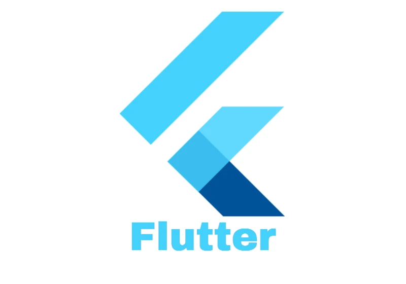 Flutter Developer Guide