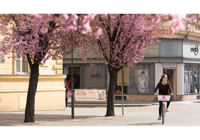 Ze šaliny rovnou do sedla. Brno pošle dva miliony na dotované jízdy na sdílených kolech