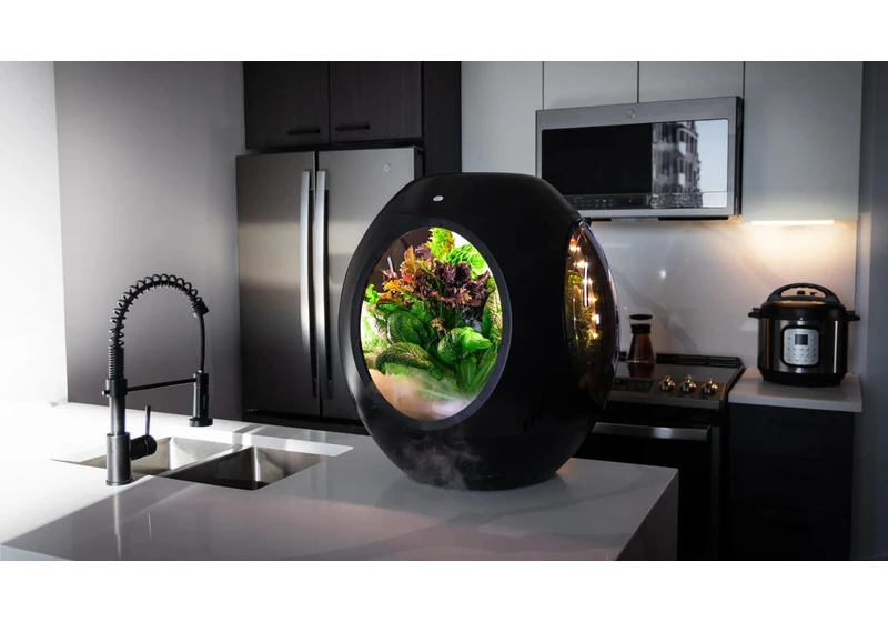 Grow Your Next Salad Using Fog With This Indoor Smart Garden