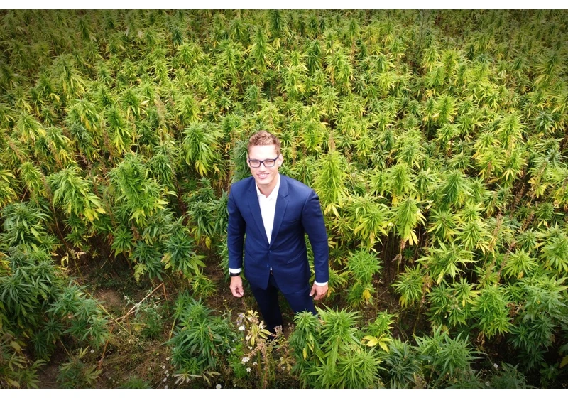 German startup Signature Products lands €800K from local authority for hemp protein value chain