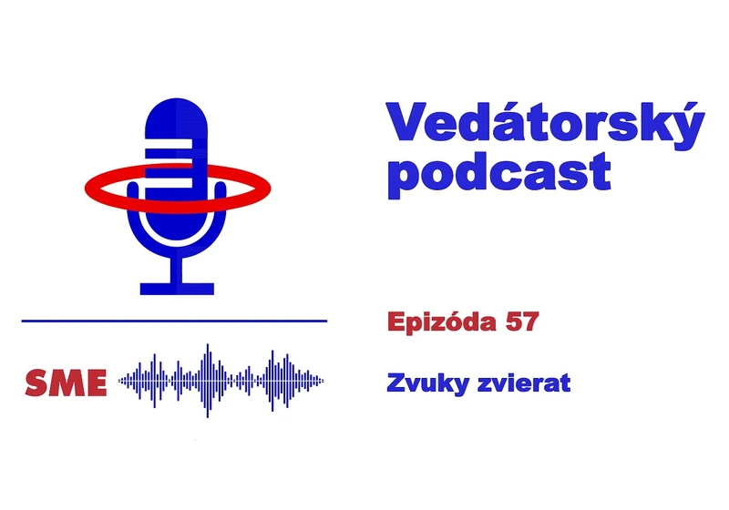 Vedátorský podcast 57 – Zvuky zvierat