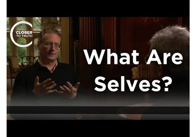 Patrick McNamara - What Are Selves?