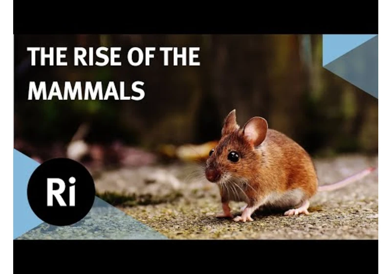 The rise and reign of the mammals - with Stephen Bursatte