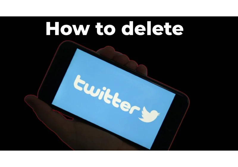 How to delete Twitter