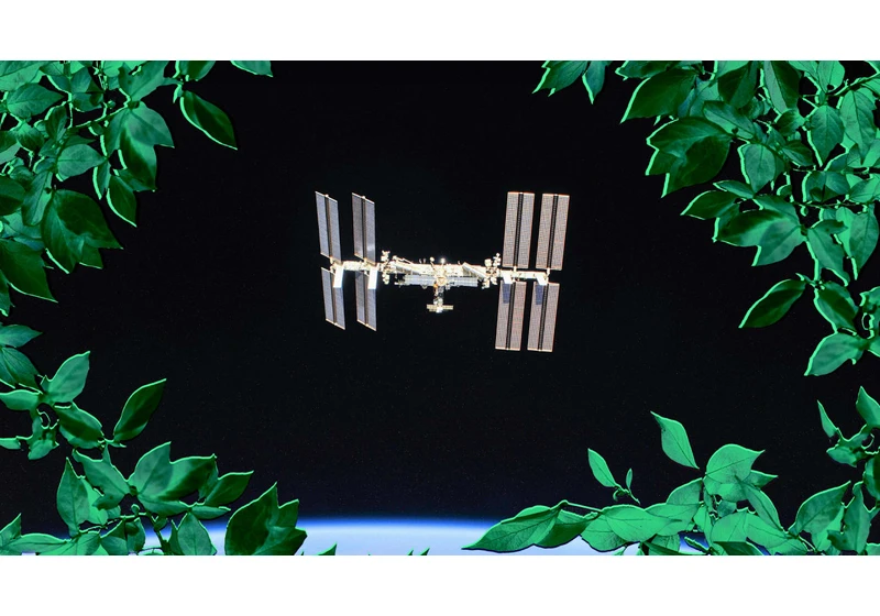 The first commercial greenhouse in space could take flight as soon as 2023