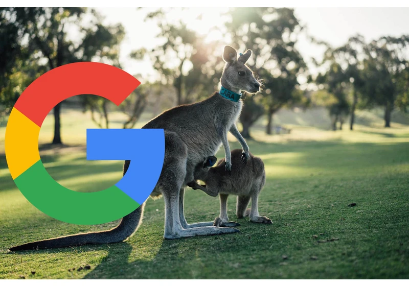 Google might remove search in Australia if forced to pay to link to sites