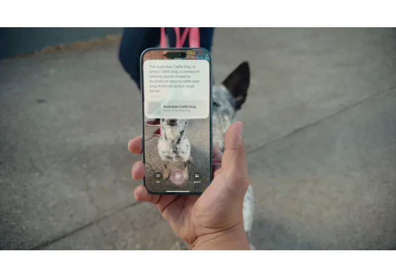 How to use Visual Intelligence, Apple's take on Google Lens