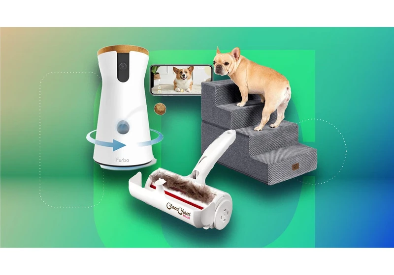 Spoil Your Pets This Holiday Season With 16 of the Best Black Friday Deals