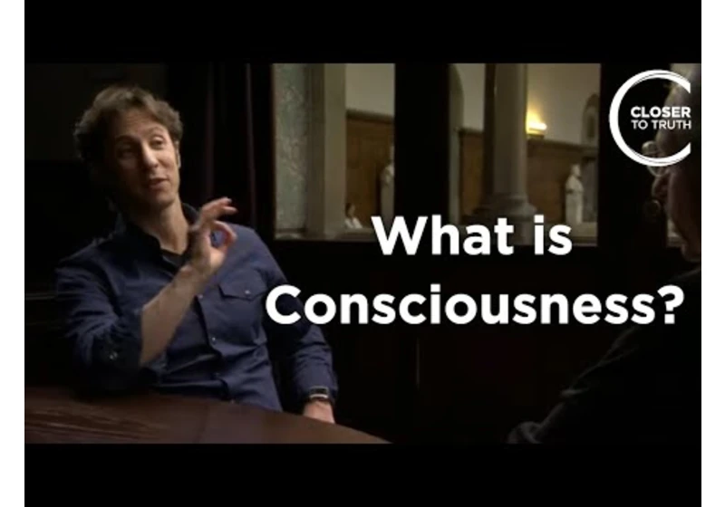 David Eagleman - What Is Consciousness?