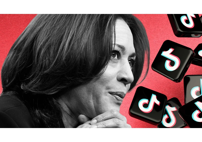 ‘Okay, so I was wrong’: Checking in on the TikTok creators who predicted Kamala Harris would win