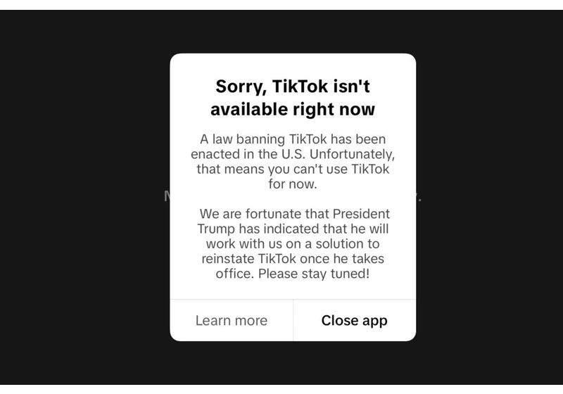 TikTok is no longer available in the US