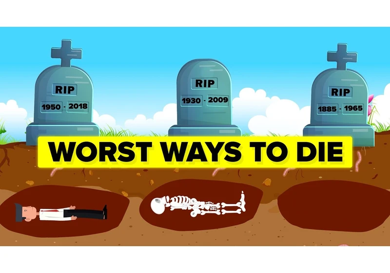 Worst Ways to Die (Compilation)