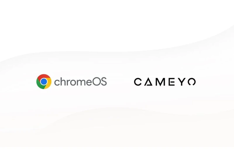  Google snaps up software virtualization firm Cameyo to help make legacy Windows apps live on in ChromeOS 