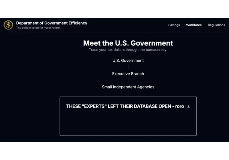 Doge.gov site has been hacked