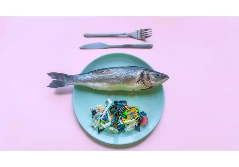 One Side of Microplastics, Please. Foods With Plastic Inside and Swaps to Make