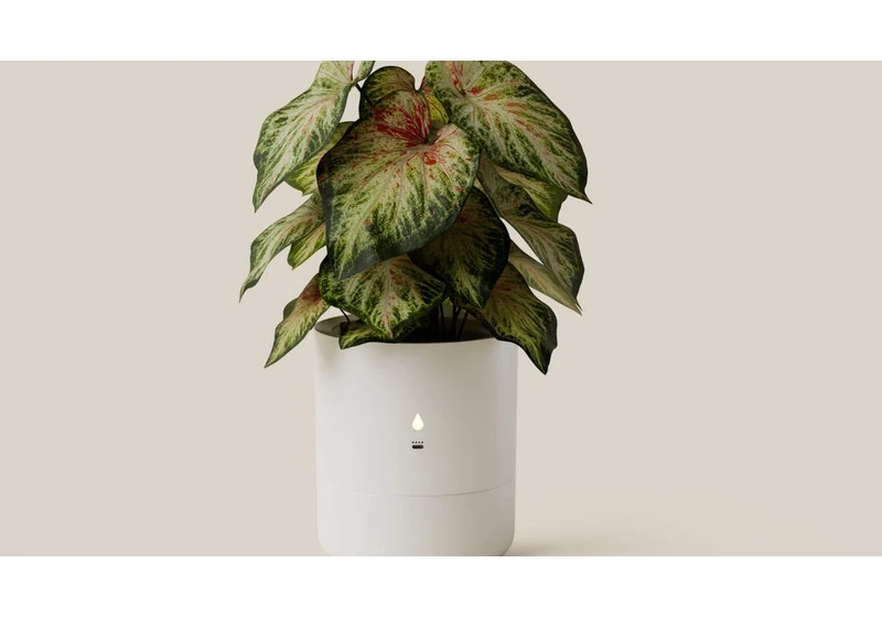 New Smart Planter at CES 2025 Lets Plants Shout When They Need More Water or Light