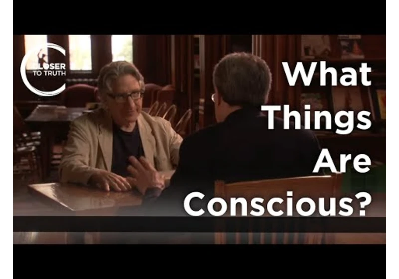 Ned Block - What Things Are Conscious?