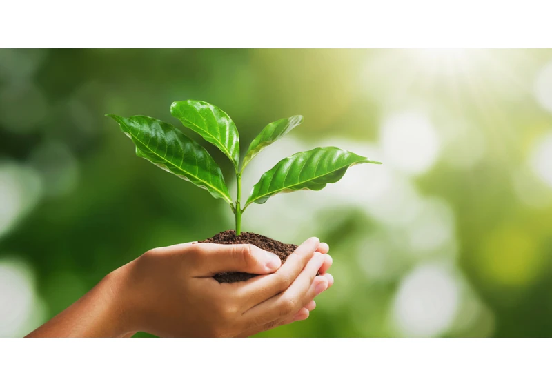 Google Rolls Out New Eco-Friendly Search Filters via @sejournal, @MattGSouthern