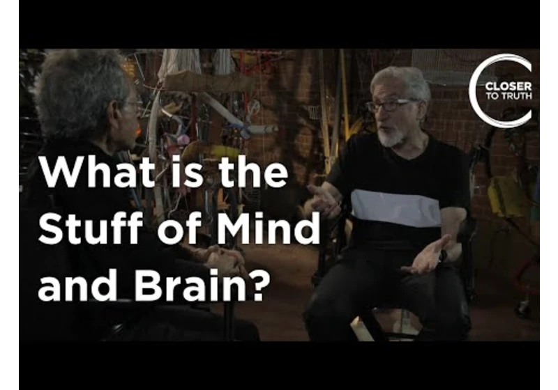 Ned Block - What's the Stuff of Mind and Brain?