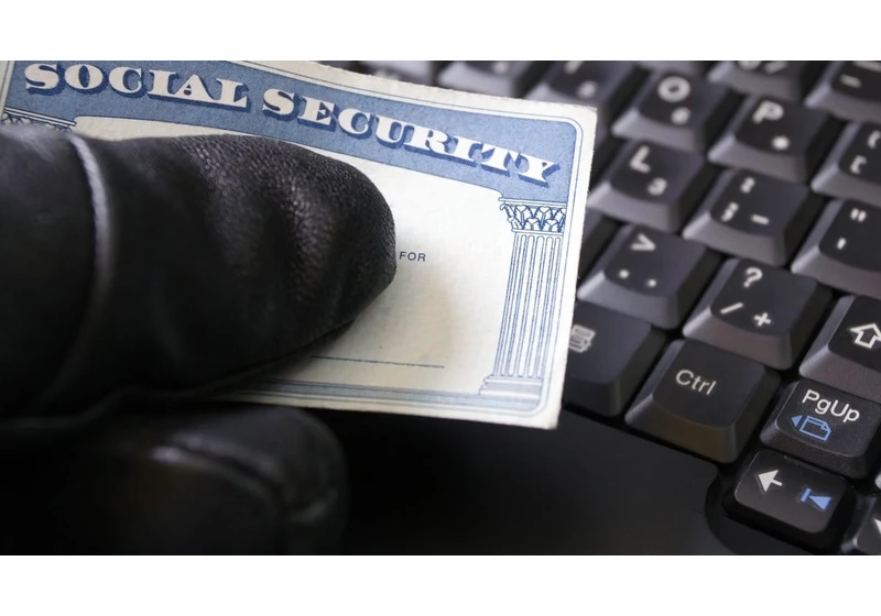 Check if Your Social Security Number Is in the National Public Data Breach