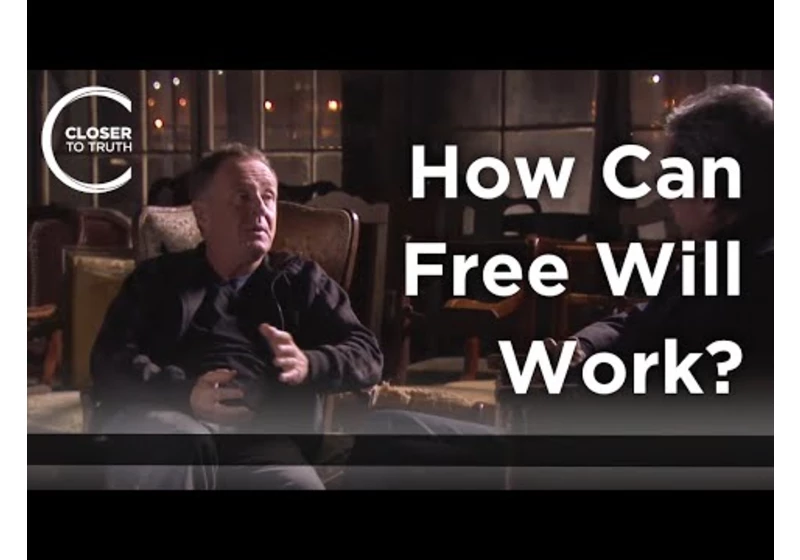 Colin McGinn - How Can Free Will Work?