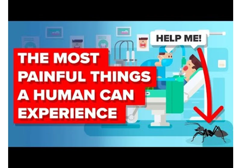 Most Painful Things A Human Can Experience And More Insane Pain Facts (Compilation)