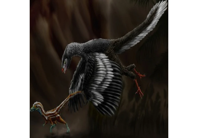 Archaeopteryx a evoluční teorie