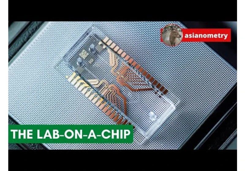 Microfluidics and the Elusive Lab-on-a-Chip