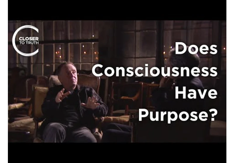 Colin McGinn - Does Consciousness Have Purpose?