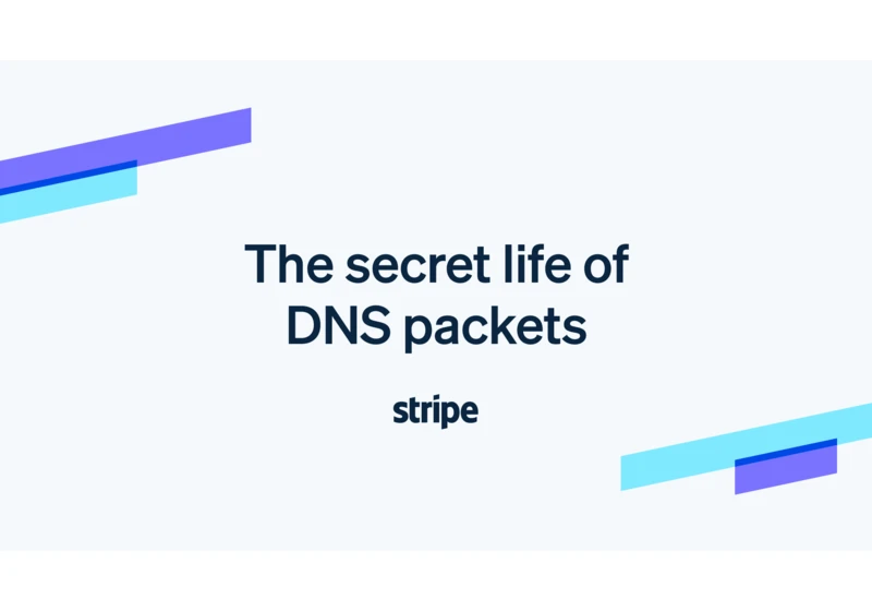 The secret life of DNS packets (2019)