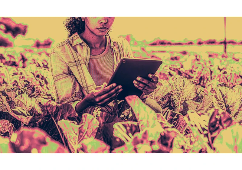 This Nairobi startup is using AI to add data science to African agriculture