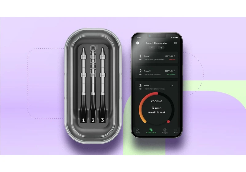 The Smart Thermometer I Drove 1,100 Miles Across Country for Thanksgiving Is on Sale Now