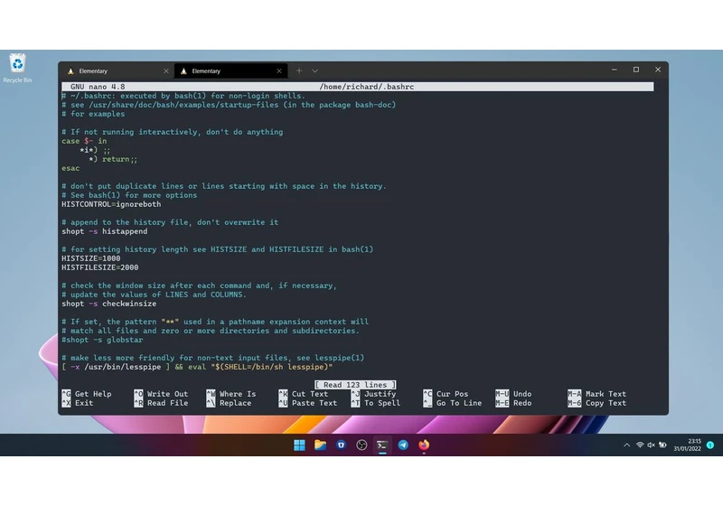  The best Linux distros for WSL on Windows 10 and 11 