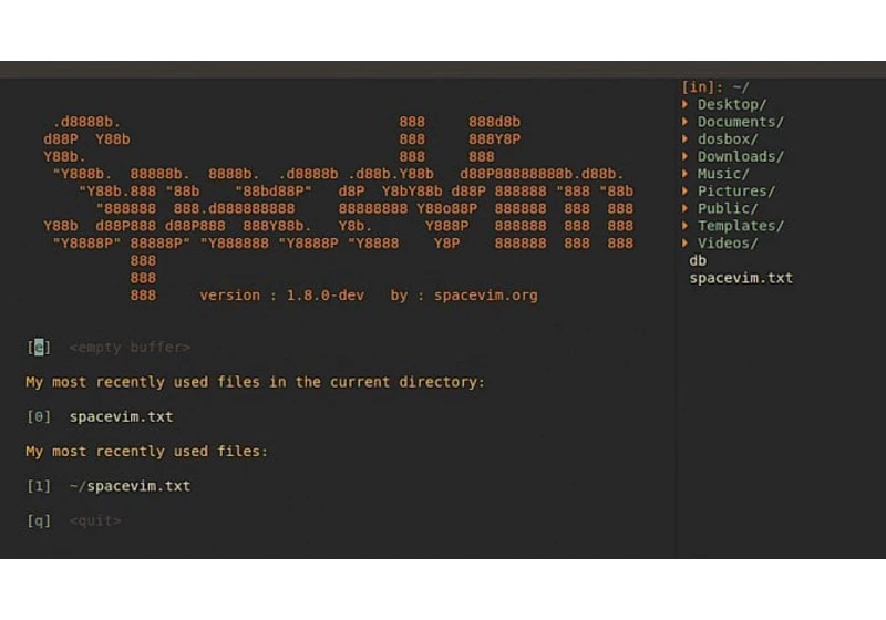 Projekt SpaceVim – moderní distribuce Vimu inspirovaná Spacemacsem