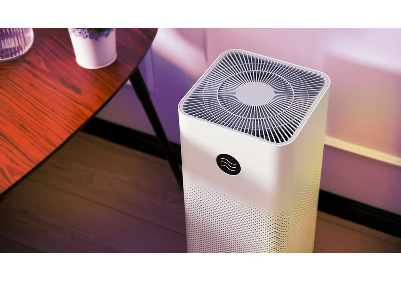 The Correct Air Purifier Can Protect You From the LA Wildfire Smoke