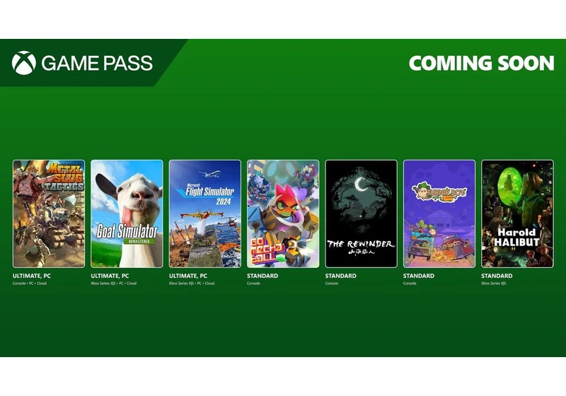  Xbox Game Pass gets Microsoft Flight Simulator 2024 and one of the zaniest remasters in years 