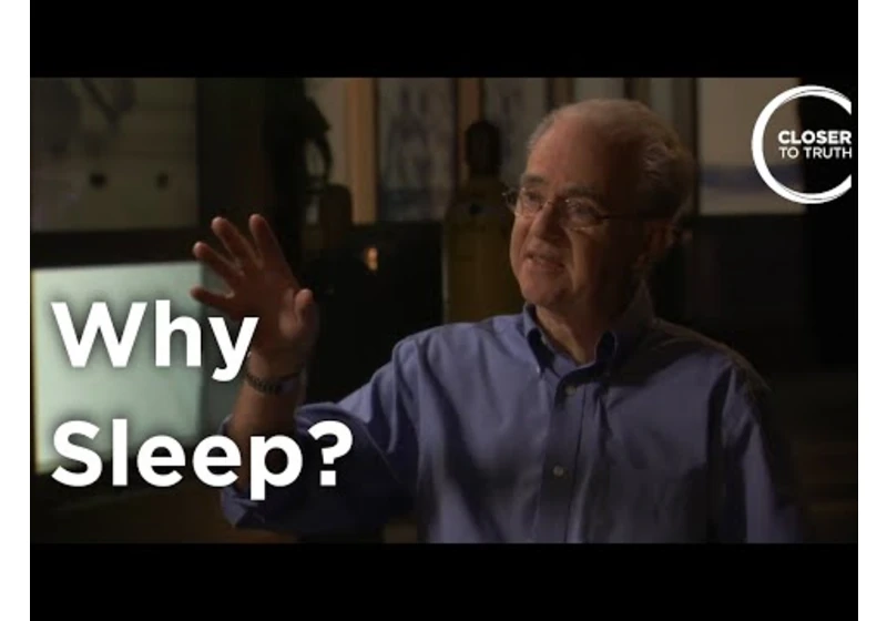 Robert Stickgold - Why Sleep?