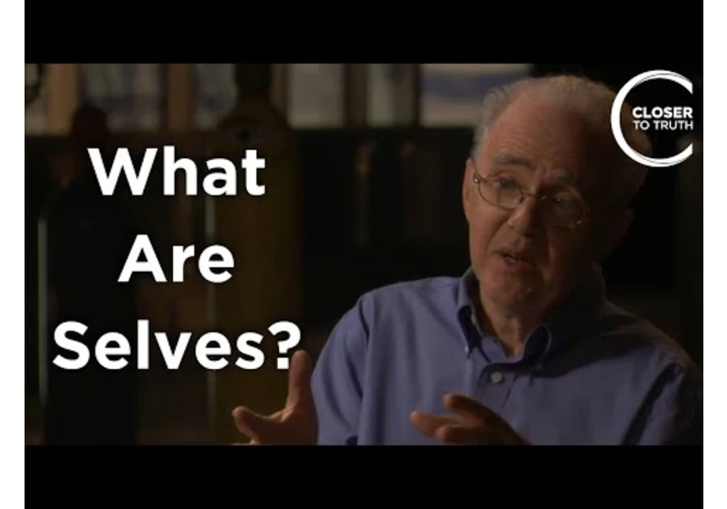 Robert Stickgold - What Are Selves?