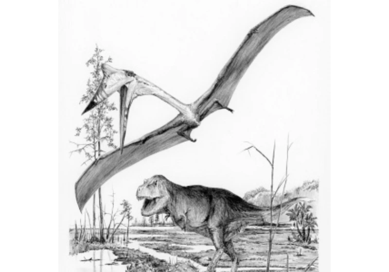 Tyranosaurů byly miliardy