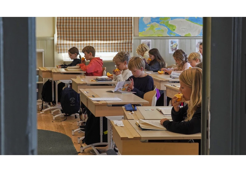 Sweden brings more books and handwriting practice back to its schools (2023)