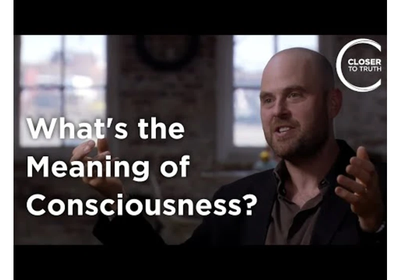 Alva Noë - What's the Meaning of Consciousness?