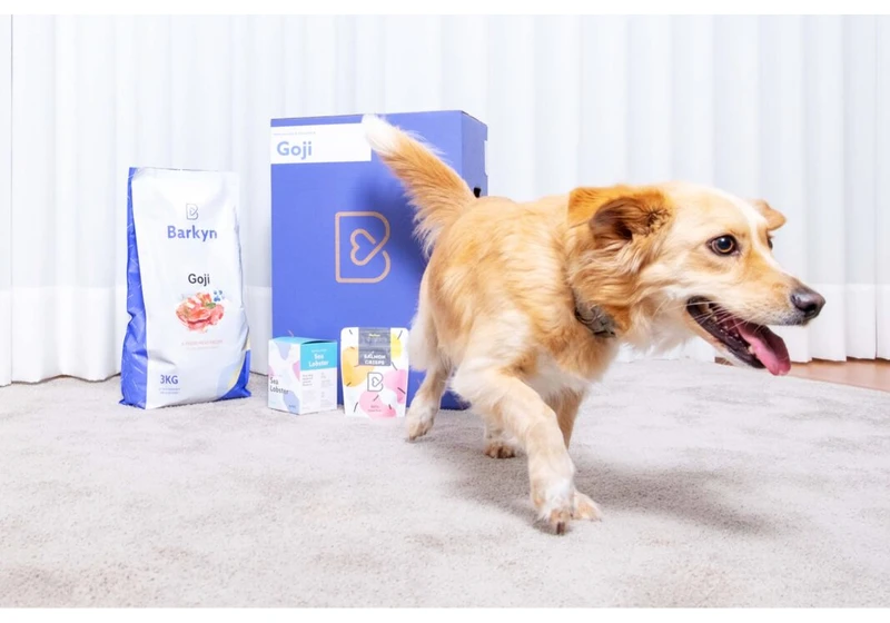 Porto-based Barkyn nabs additional €3 million to scale up its subscription service for pets