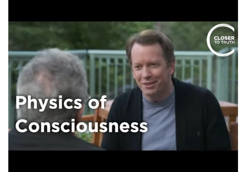 Sean Carroll - Physics of Consciousness
