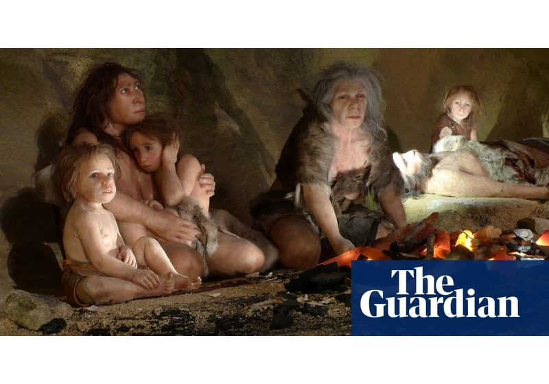 Fossil of Neanderthal child with Down's syndrome hints early humans' compassion