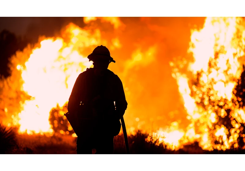 Wildfires are erasing California's climate gains, research shows